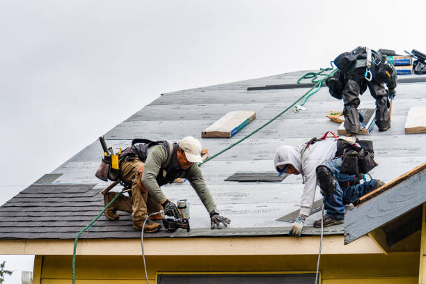 Professional Roofing technician working in Pleasant Valley, IA